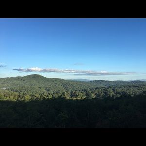 Meet your Posher, Dorthy